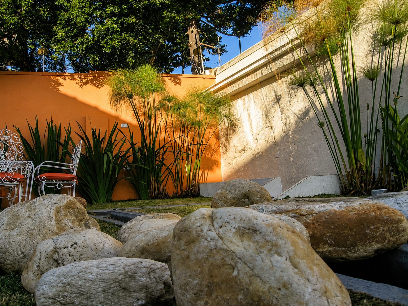Jardim interno da clínica